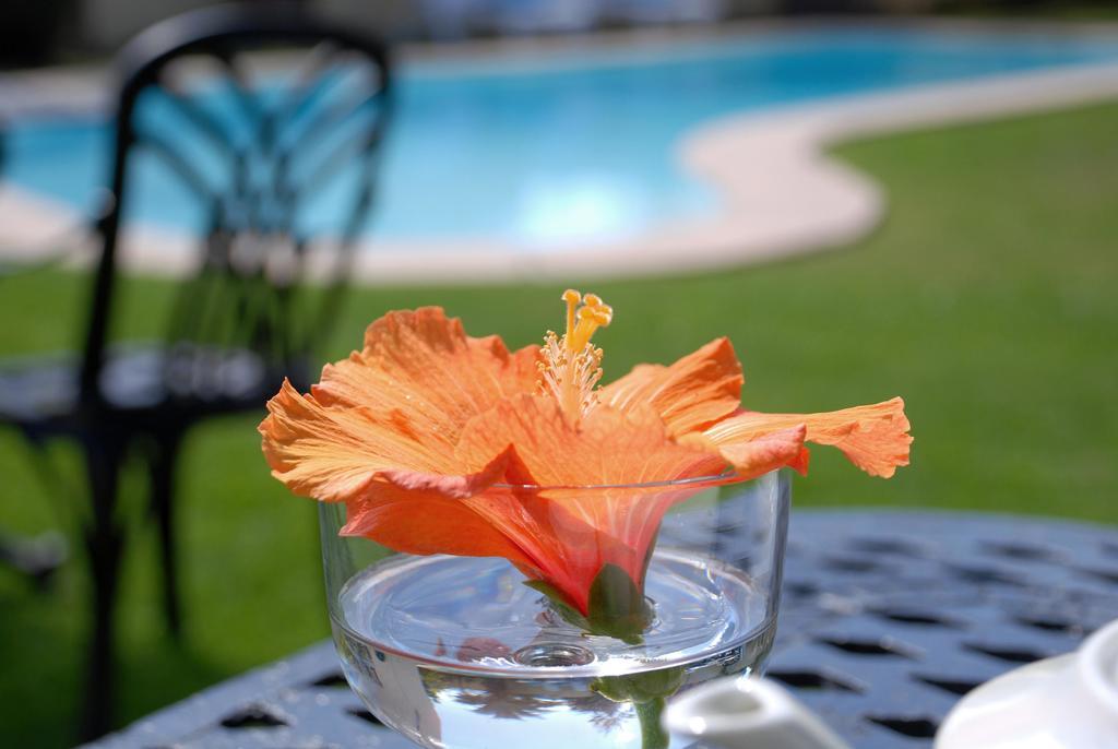 Mandalay Guest House Plettenberg Bay Eksteriør billede
